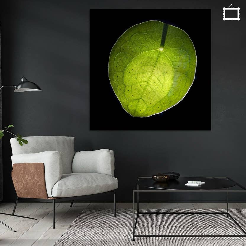 Foto van een groen blad in een woonkamer aan de muur als wanddecoratie