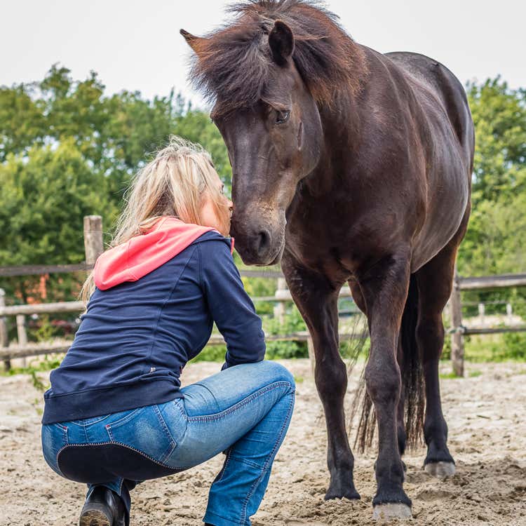 Foto's kunnen het verhaal van de groei en ontwikkeling van je relatie met je huisdier vertellen. Van het eerste moment dat je je huisdier ontmoette tot belangrijke mijlpalen en avonturen die jullie samen beleefden.