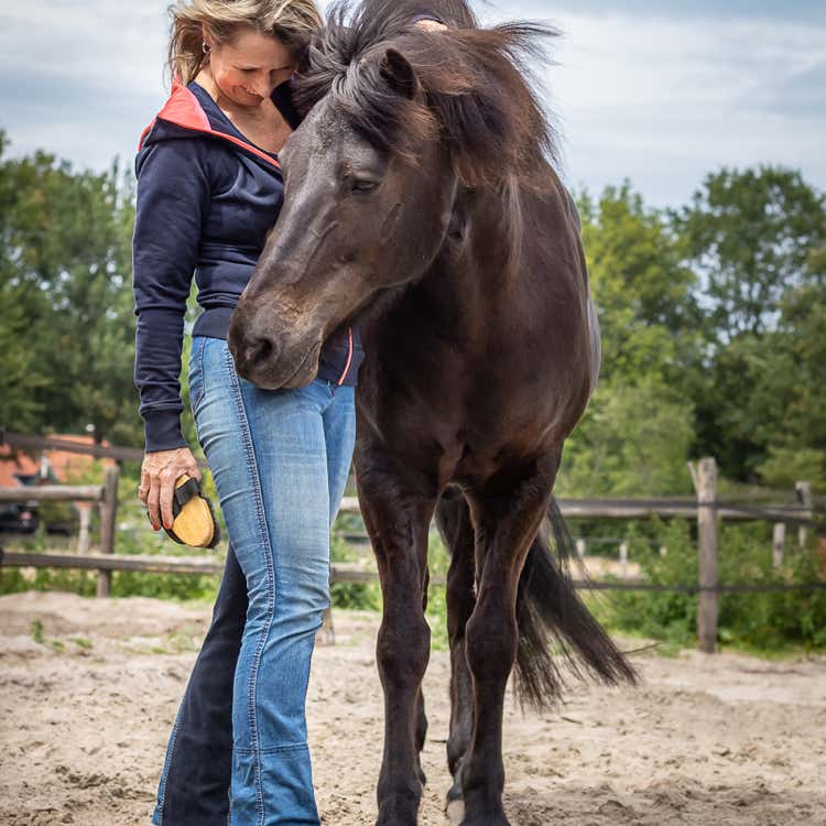 Het vastleggen van de relatie met je dier middels fotografie biedt een manier om de diepe band en de vele bijzondere momenten die jullie samen delen te documenteren en te koesteren. Het is een investering in herinneringen die een leven lang meegaan.
